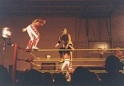 Thrill seekers vs. The Hornet